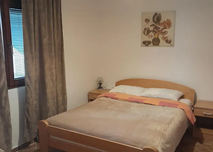 Apartment Jelaca
