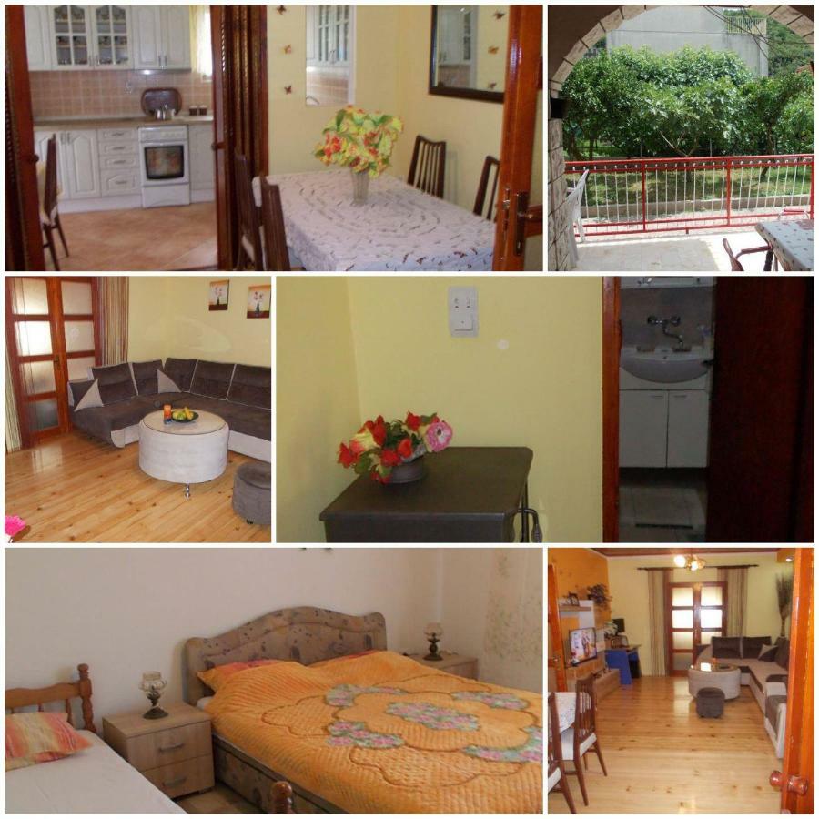 Apartment Jelaca *