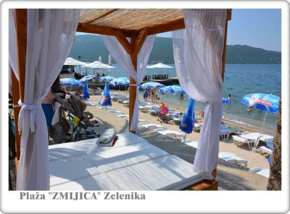 Jelaca *